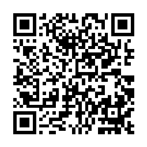 果然现在鬼谷子弄出的阵法比杨戬想象之中的要强大得多二维码生成
