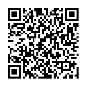果然看到了一群灰色的狼群从稀稀落落的帐篷区中走了出来二维码生成
