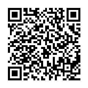 枪支的主要目的是为了保护那些凡人不被修真者晒杀害一类的二维码生成