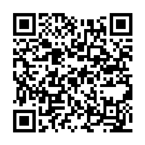 枯萎的器官和肌体都在血液的滋润下逐渐恢复活力二维码生成