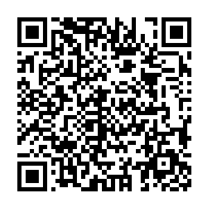 某只实习兔子机甲一天时间里连续砍杀近四十名同为新手的实习机甲士二维码生成