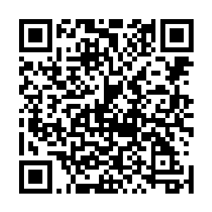 某没看错人啊…………给你从某家扈卫军马当中抽三千精锐二维码生成