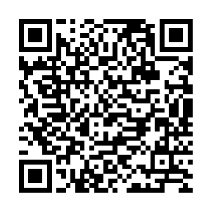 某鱼直播平台一个英雄联盟主播人数动不动几百万上下就别提了二维码生成