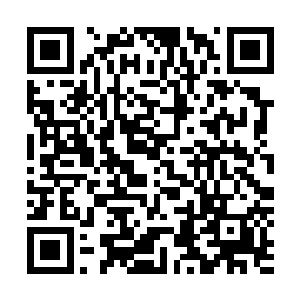 柜台里则放着各种药剂和进入地下会使用到的一些特殊装备二维码生成