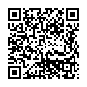 柯子华和甄世建两人倚在车门上看着丁二狗贪婪的样子二维码生成