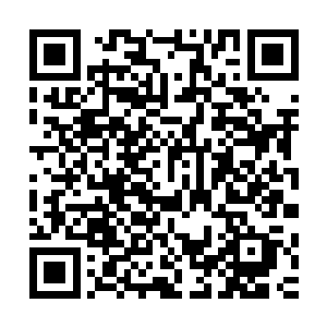 柳维曾经叮嘱过柳氏不要将他受伤的事情告诉白硫决和苏国公二维码生成