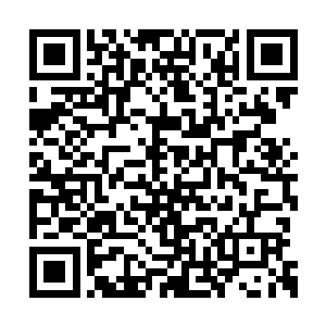 柳逸尘就把掌门大人所有的记忆信息都给搞定了二维码生成