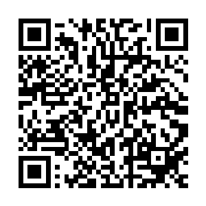 样子没有多大的变化可是这小身板儿一下子长了估计有二十倍二维码生成