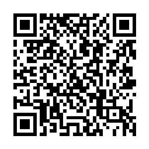 根本不愿意相信玄清天会在短短的时间内不仅稳定了境界二维码生成
