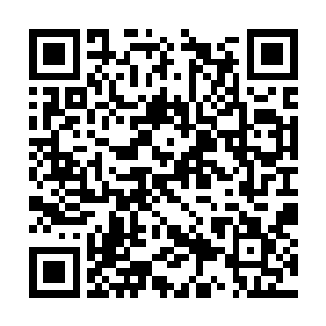 根本就看不出凌波仙子和杨先生两个人的真实修为二维码生成