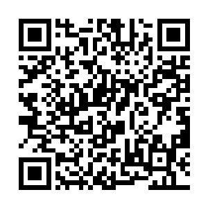 根本承受不住五品灵丹凝聚之时散发出来的巨大波动二维码生成