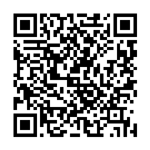 格拉克罗多人的修复舱竟然比自己的药神星治疗术还要好用二维码生成