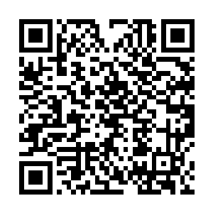 格罗廖夫似乎生怕高扬又不好意思让古斯塔夫当接盘侠二维码生成