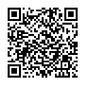 桃红一把将从树上溜下来的十二三岁的少年推倒在地二维码生成