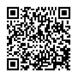 梁之洞带领着太玄宗的弟子已经将所有的来犯之敌全部杀光二维码生成