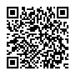 梁凯强的爷爷梁明直当时正处于从武霸突破到武侯的关键时刻二维码生成