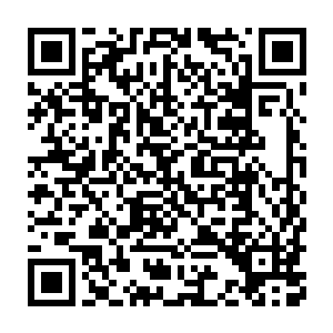 梁家又帮你……你还是得再拉拢一个大家族才能对北方家族产生压力二维码生成