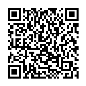梓箐从原剧情中找到这个世界中最忌讳的违法行为――贩du二维码生成