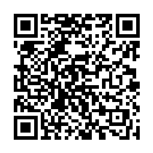 梓箐倒是想将这幅经历了无数磨难的身体完全修复好二维码生成