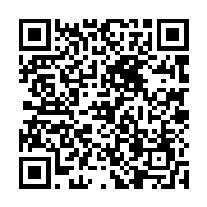 梓箐却看出了他们在通过自己有限的意识中的权限审核二维码生成