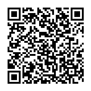 梓箐就有意的将普通骆驼刺芨芨草之类的普通野草变成一些耐旱的药材二维码生成