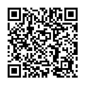 梓箐已经可以想见他等会被这些怪兽撕扯成碎片的场景了二维码生成