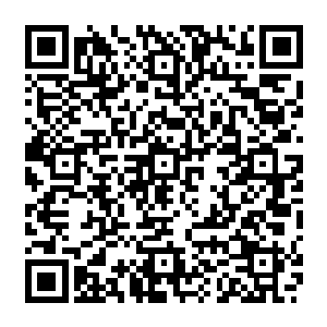 梓箐带着数十个狼人和经过圣光洗礼的半人族倏忽间就到了城堡外面的宽阔空地上二维码生成