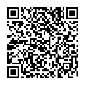 梓箐张了张嘴……从喉咙里发出嚯嚯的声音……她差点忘了丧尸是没有声带的二维码生成