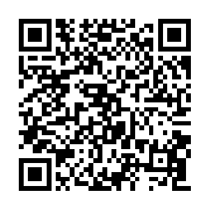 梓箐感觉自己再在这里带下去的话真的会疯魔的二维码生成