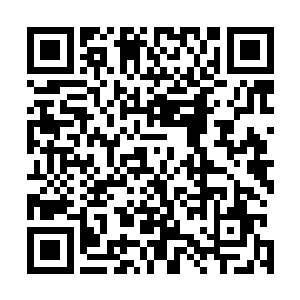 梓箐才不会哈戳戳的冒着再次将伤口挣出血的风险甩11路二维码生成