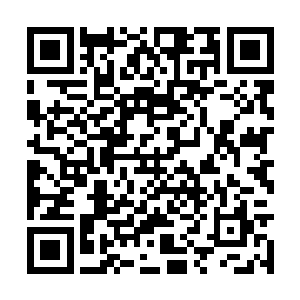 梓箐打算还是制作一些妖娆神散之类的养颜膏来卖二维码生成