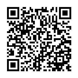 梓箐早已经将每户人家写在图纸上的小方格里面了二维码生成