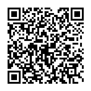 梓箐的安静和乖顺让五鬼以为会无比有趣的旅程变得苍白无聊起来二维码生成