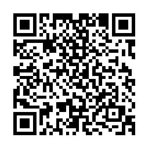 梓箐眼睛敏锐地捕捉到这怪物断掉的触手端部正在飞快地修复…二维码生成