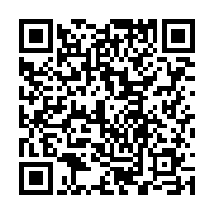 梓箐连一个眼神都懒得施舍给这个眼不熟的白眼狼二维码生成