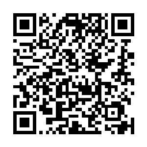 梦妖就与领地上的梦境原住民形成了一种特殊的共生关系二维码生成