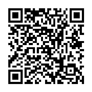 梵地文手指之上的须弥之戒便是被他吸收在了手中二维码生成