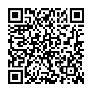 森林中无数生命气息的波动尽数被收入神念之中二维码生成