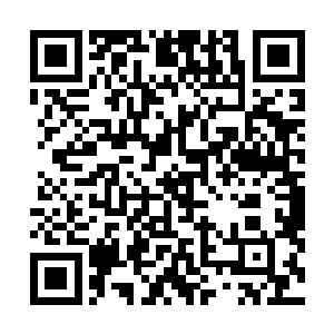 植物是安详的――看过海底世界的朋友们都是明白的……二维码生成