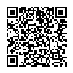 楚墨寒肖薄的唇瓣一勾扯出一抹冷冽刺骨的弧度二维码生成