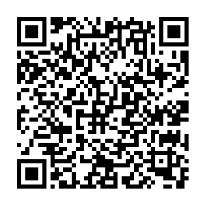 楚旬也感觉到自己的虎魄刀仿佛是切在了一面坚不可摧的盾牌上一样二维码生成