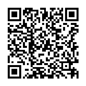 楚旬也被这血色长鞭给轰击得连人带刀都倒飞了出去二维码生成