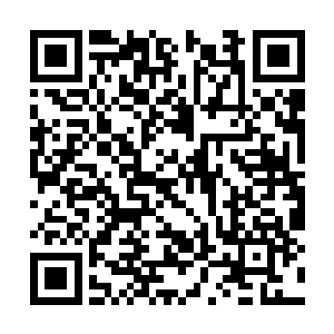 楚旬如今的力量已经强到了他根本无法想象的地步二维码生成