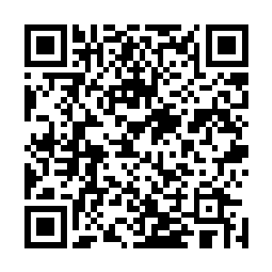 楚旬那如同破碎瓷器一般布满裂痕的基因链也开始逐步修复二维码生成