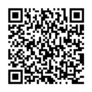 楚暮也带着他去看那些他从万剑碑林上参悟撰写下来的剑法等等二维码生成