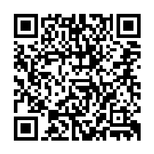 楚暮从原本的无足轻重骤然提升到一个必须给与十分重视的地步二维码生成