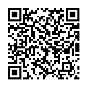 楚暮凭着他那强大无比的记忆力和惊人的思维模拟能力二维码生成
