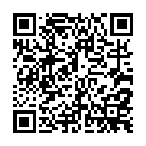 楚暮看着这个三炼绝世剑修充满不甘又黯淡下去的眼神二维码生成
