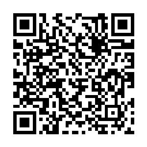 楚暮行走在距离灵石矿大约五十里左右的一处山谷二维码生成