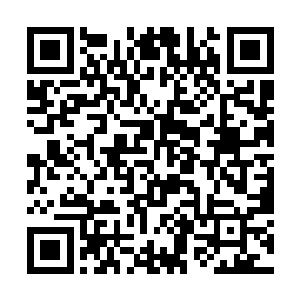 楚暮觉得自己还没有完全将参悟所得彻底转化为实力二维码生成